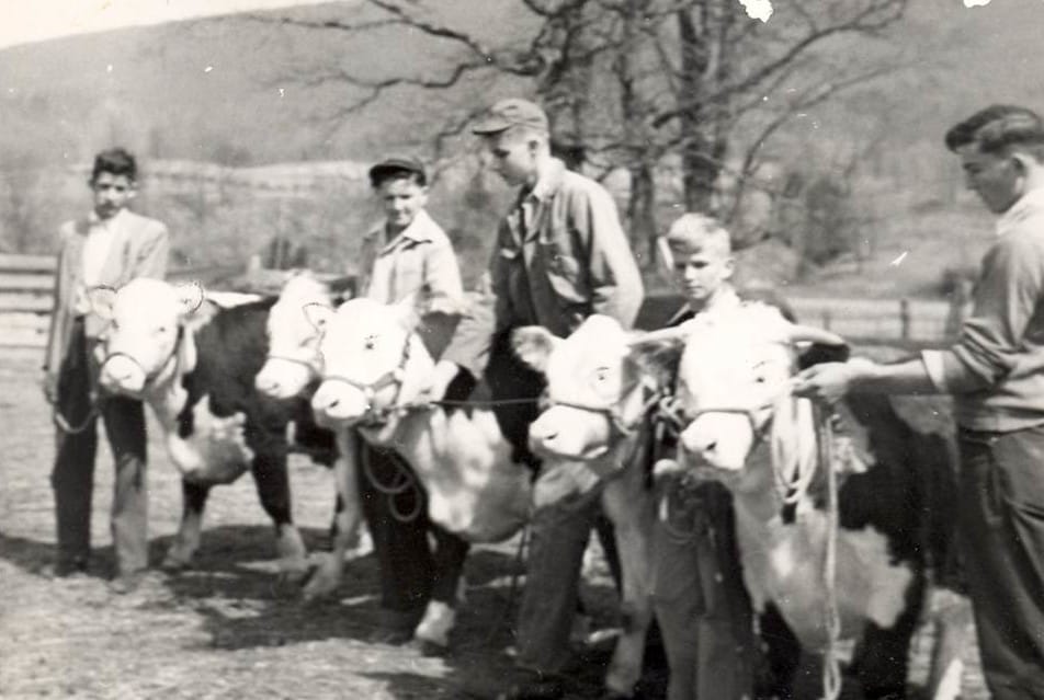 Knights, Chicks & Carnival Kicks: 1954’s Highland County Fair