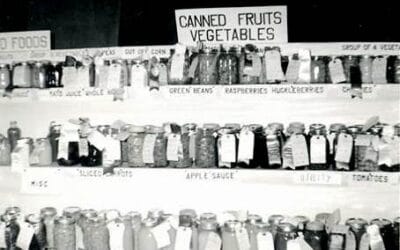 Floats, Fun & Fair Skies in 1956: The Highland County Fair Hits Its Stride